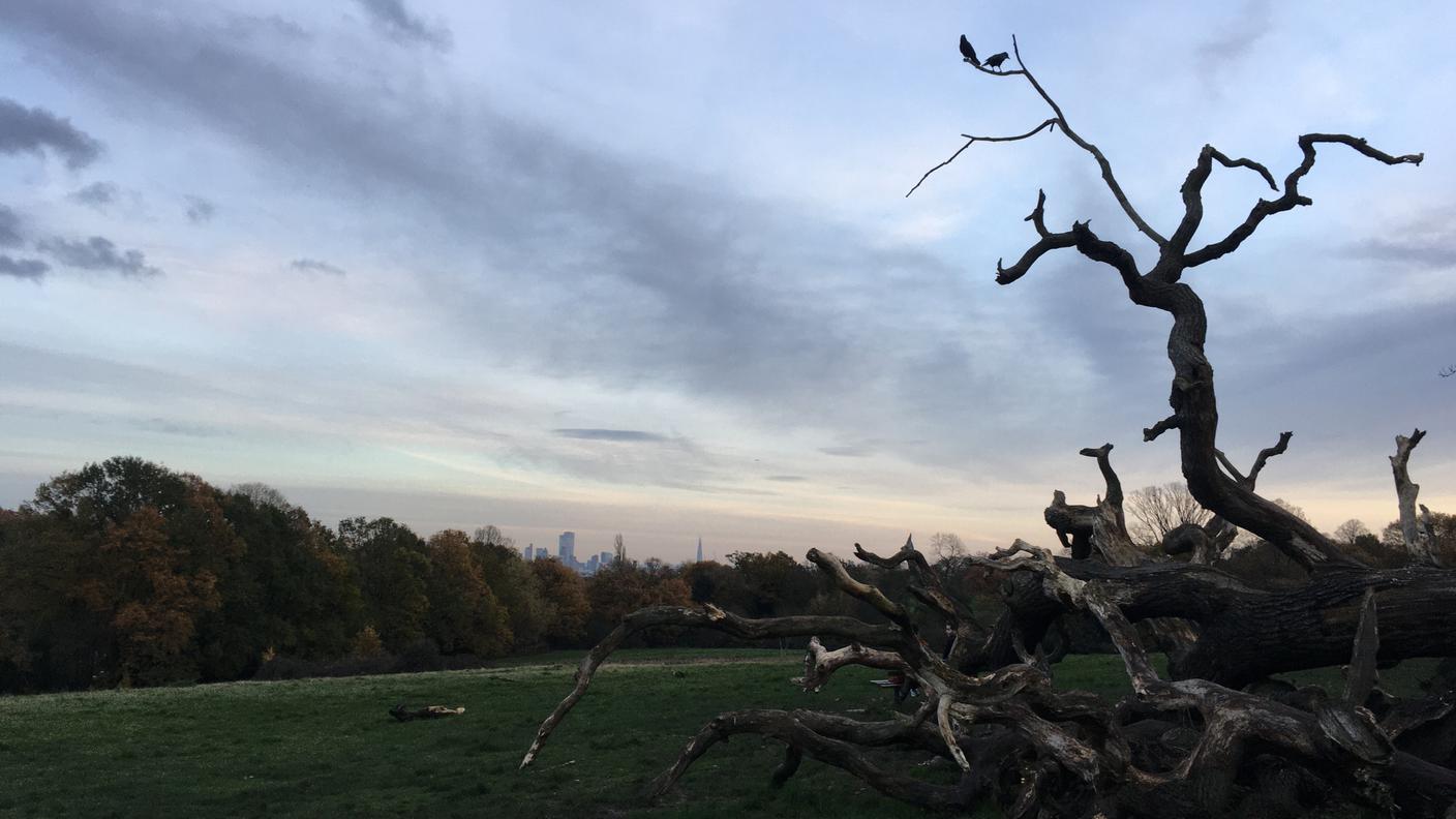 Hampstead Heath, uno dei tanti parchi londinesi