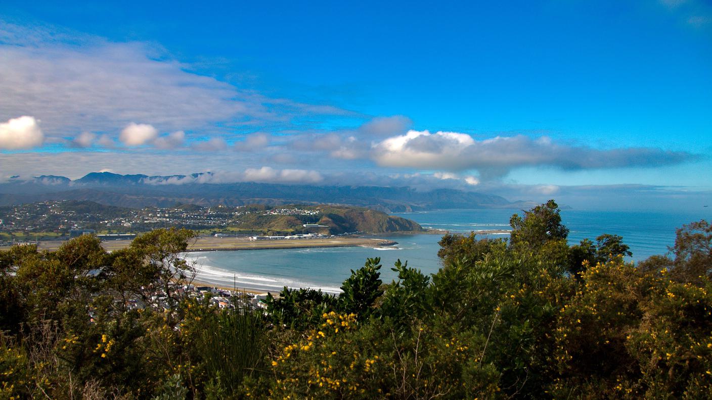 Wellington 2.jpg