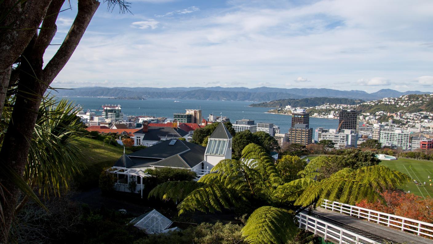 Wellington 3.jpg