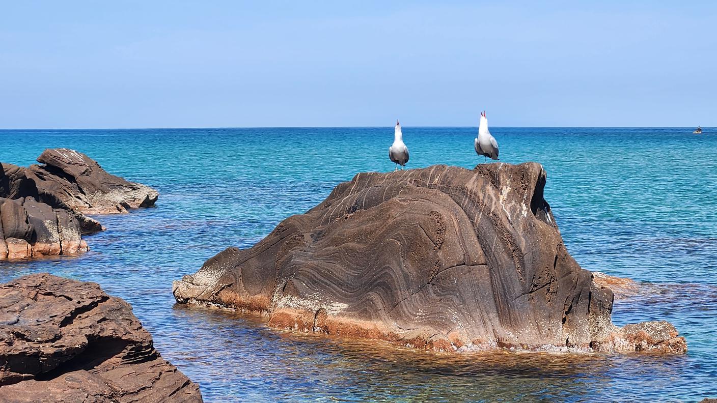 Menorca, Sapagna