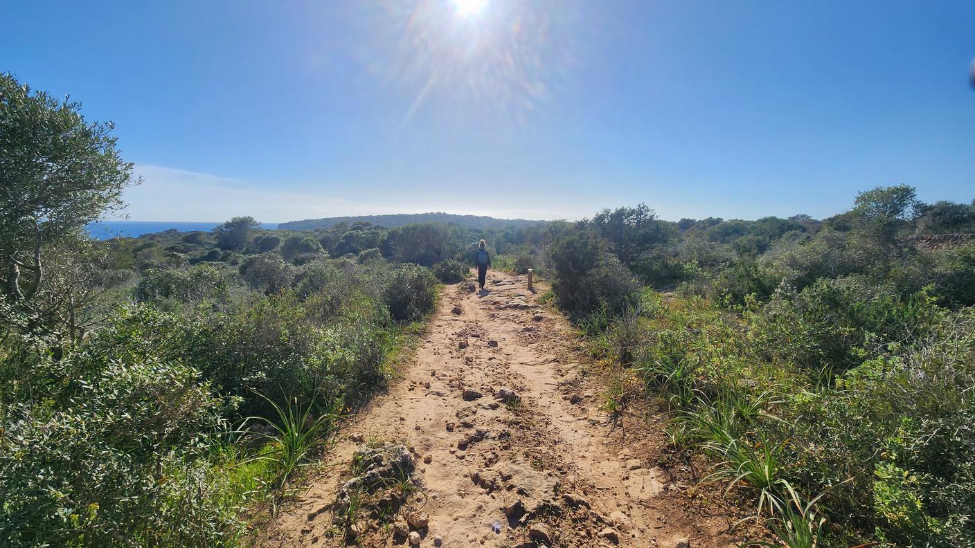 Menorca, Sapagna