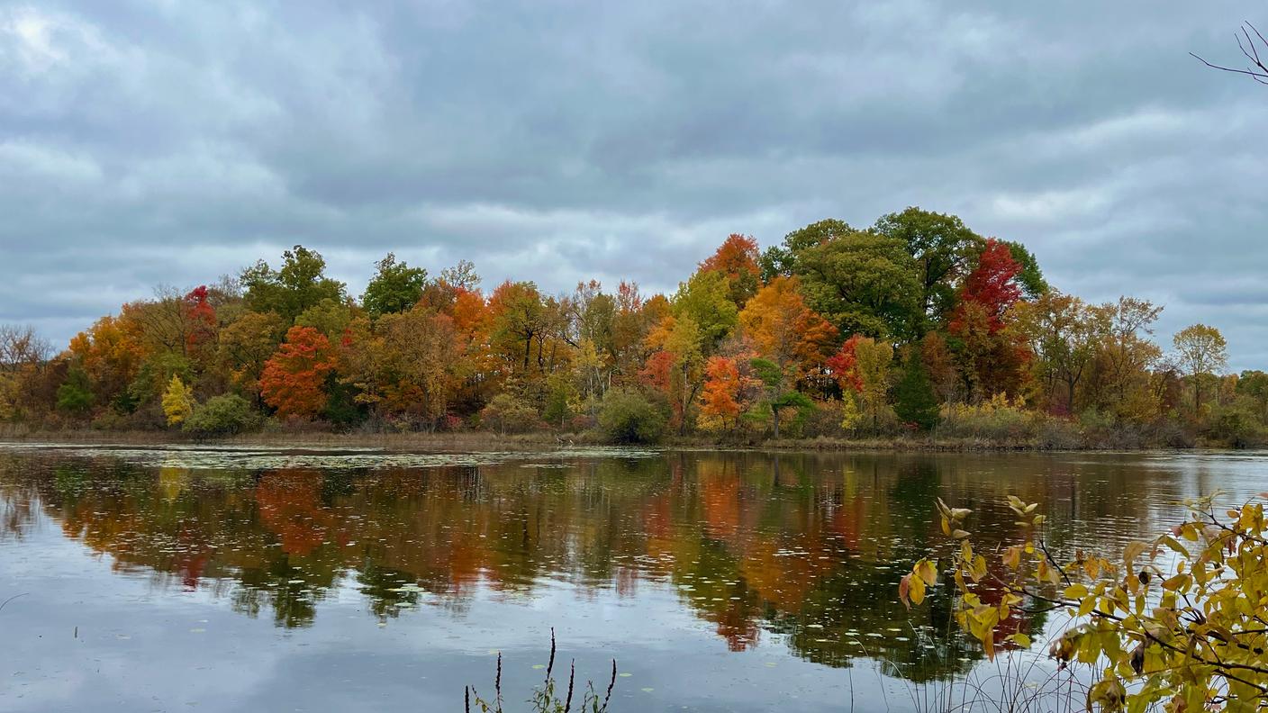 Ann Arbor, Michigan, Stati Uniti