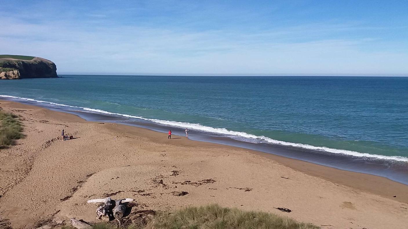 La spiaggia in Nuova Zelanda