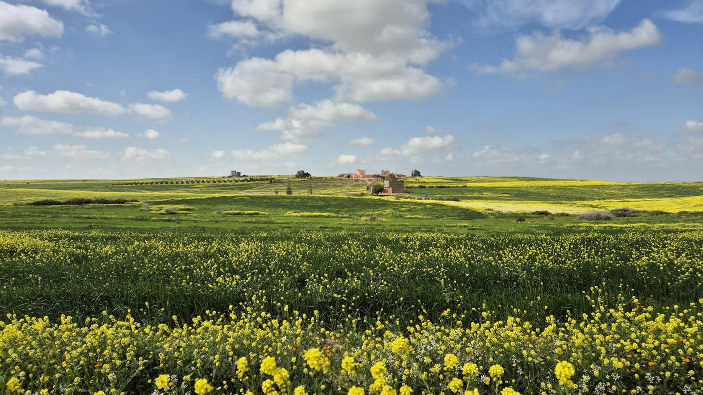Giorno 65, 50 km a nord di Marrakech, Marocco
