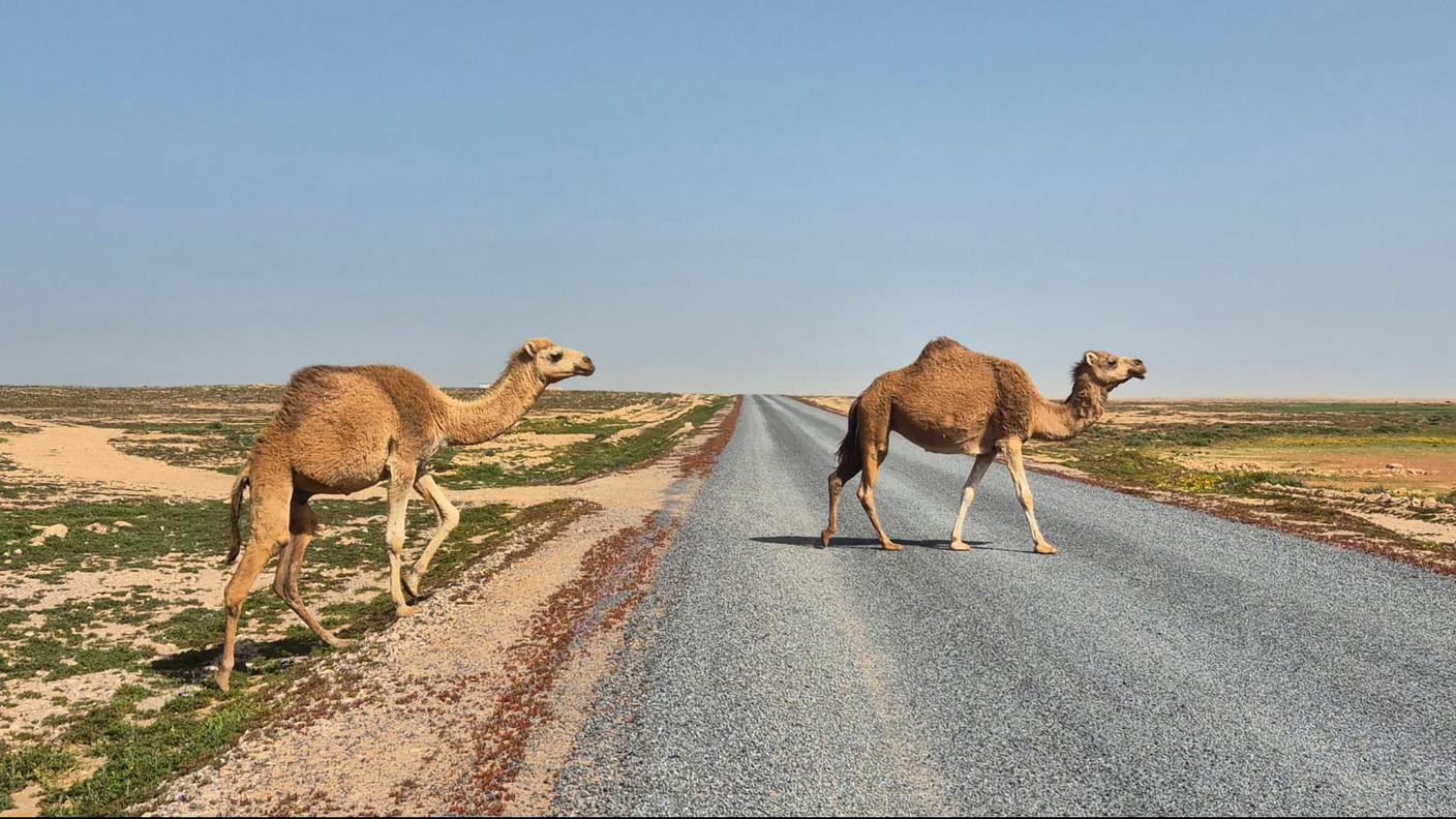 Giorno 77, 40 km a Sud di Sidi Ifni, Marocco
