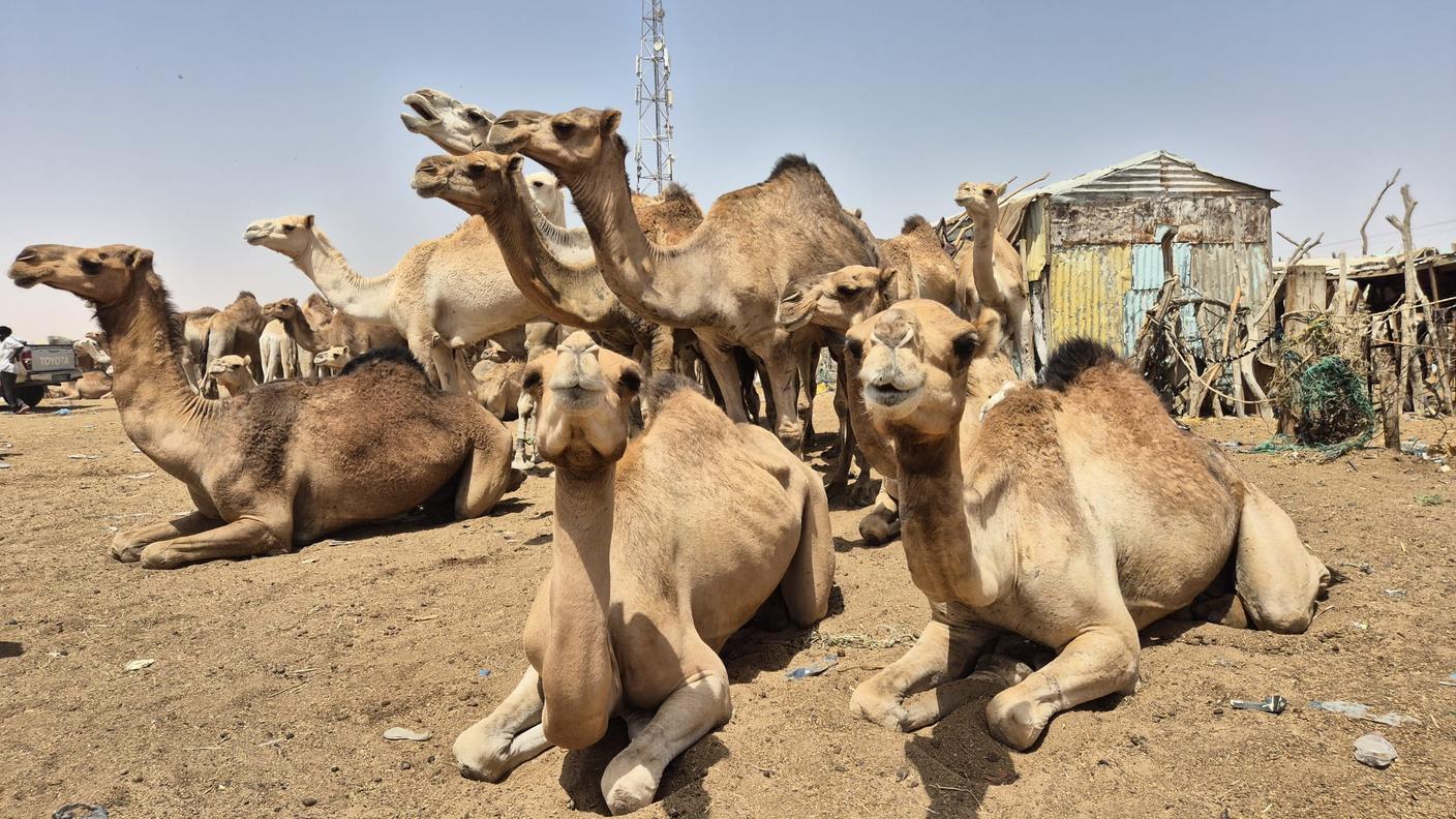 Giorno 105, Nouakchoutt, Mauritania