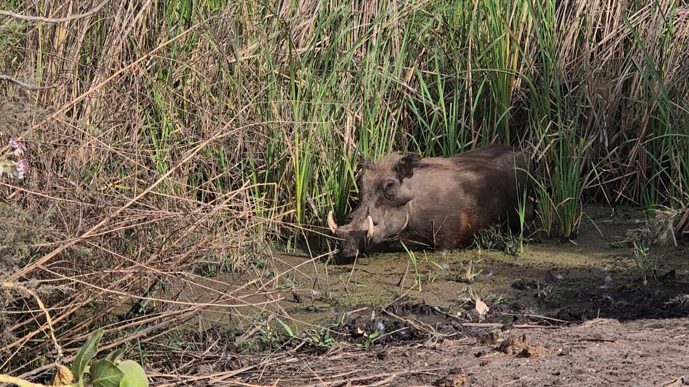 Giorno 108, Parco Nazionale Diawling, Mauritania