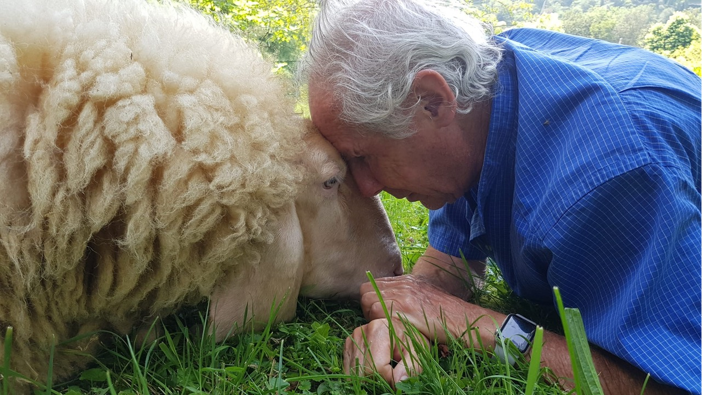 Courtesy Bruno Bozzetto