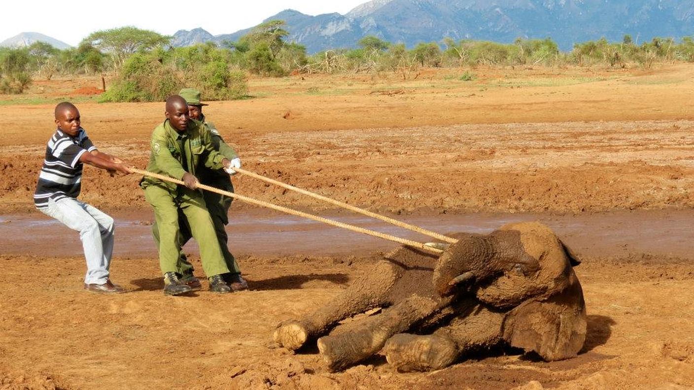 Davide Bomben in Africa