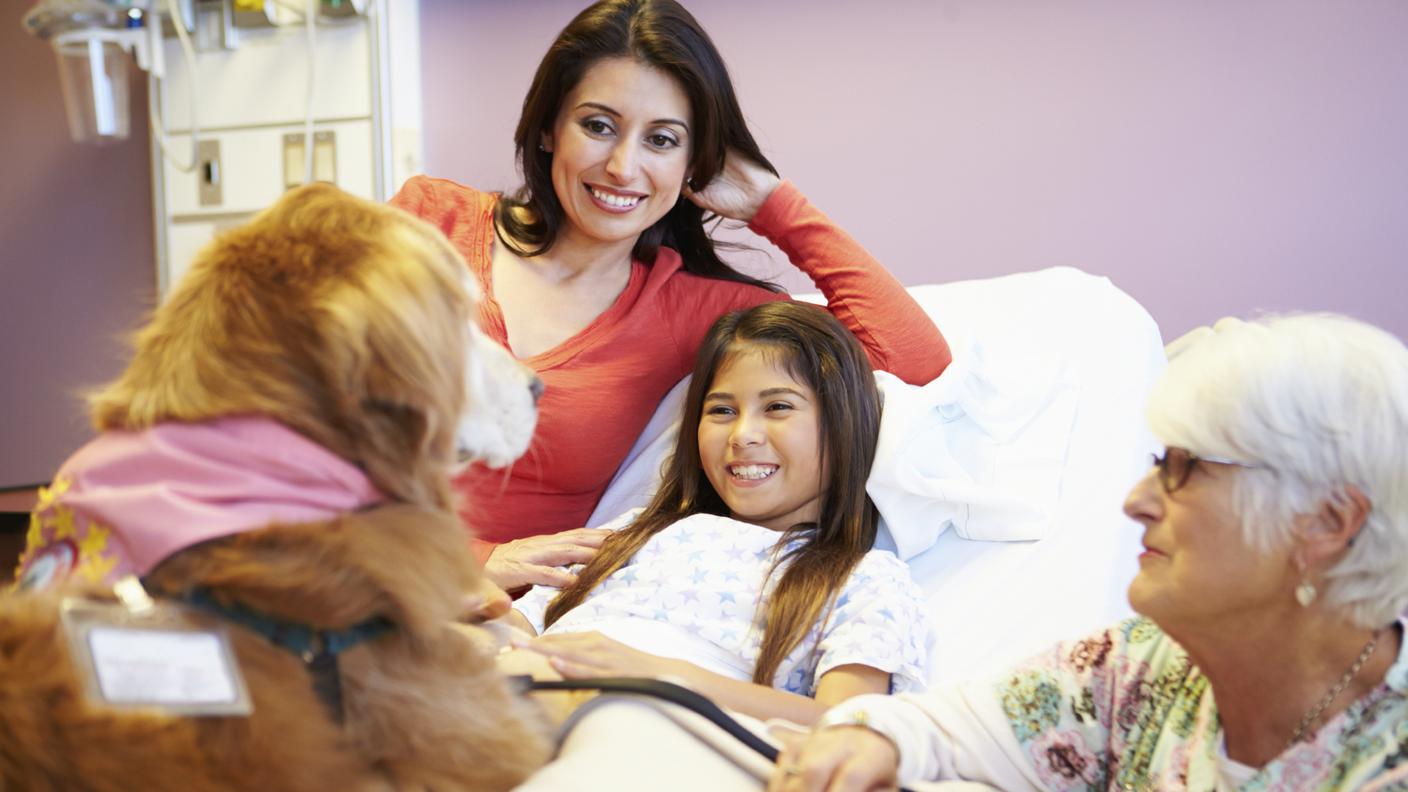Cane, Sessione di Counselling, Ospedale, Volontario, Paziente, Sanità e medicina, Animale, Reparto di ospedale, cane da terapia