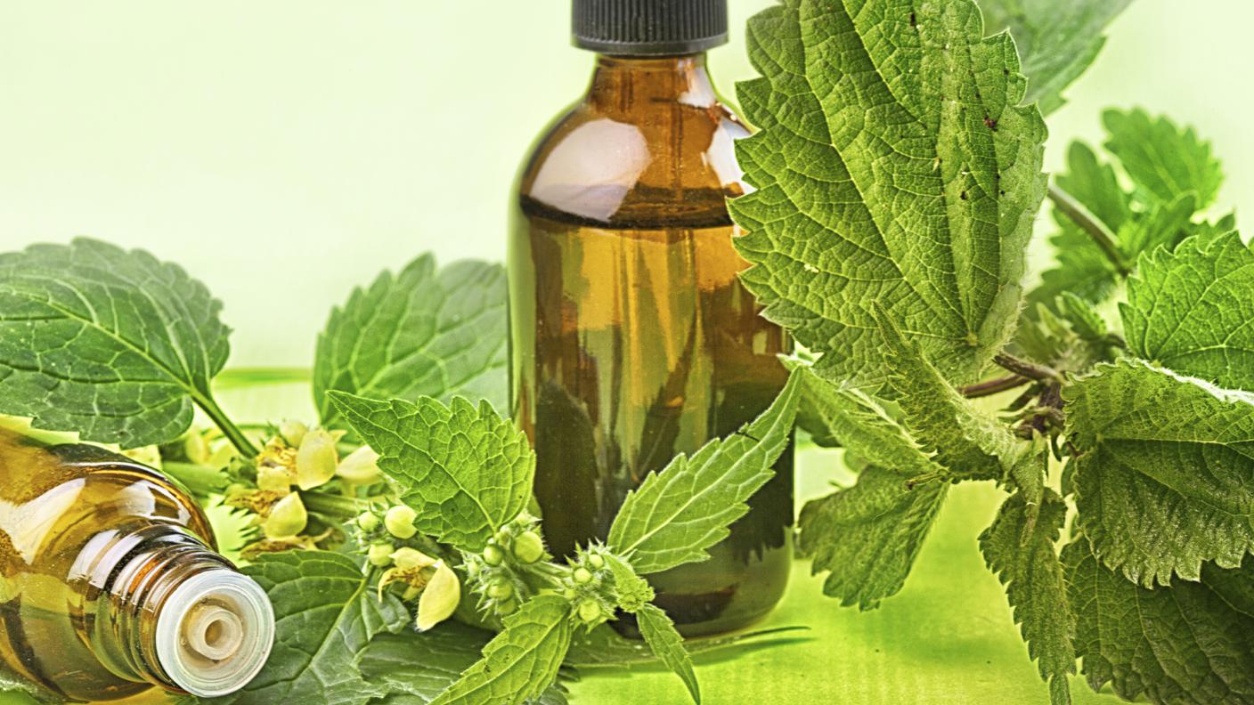 Erbe medicinali, Vegetazione, Fitoterapia, Sanità e medicina, Ortica, Medicina alternativa