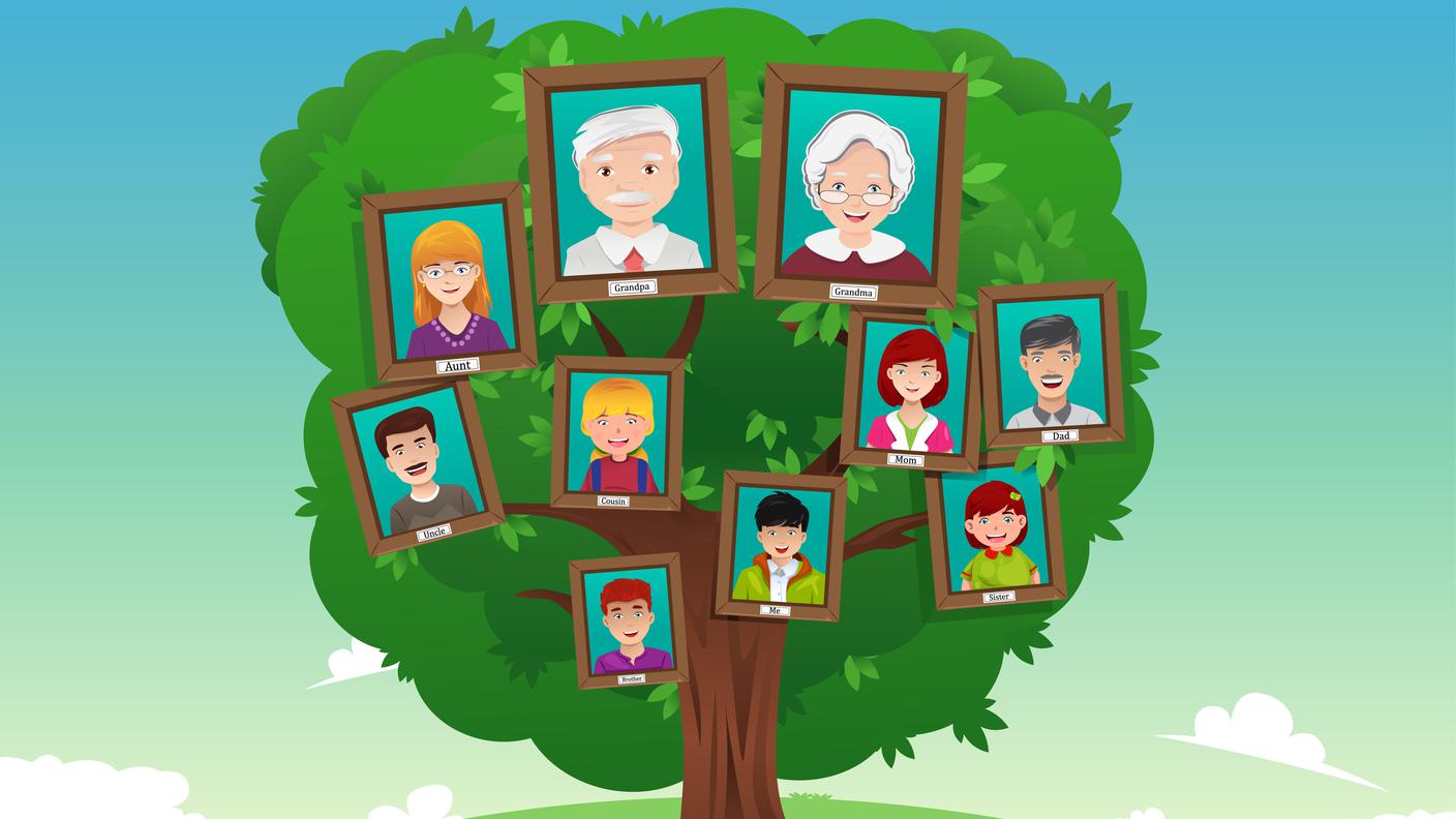 Albero genealogico, famiglia