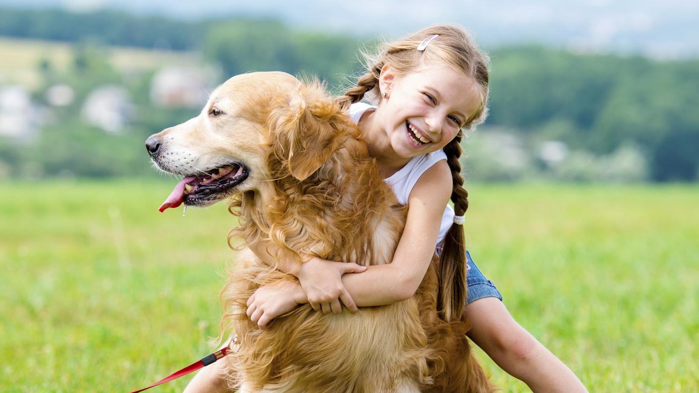 Cane, Bambina, Giochi per bambini, Animale da compagnia