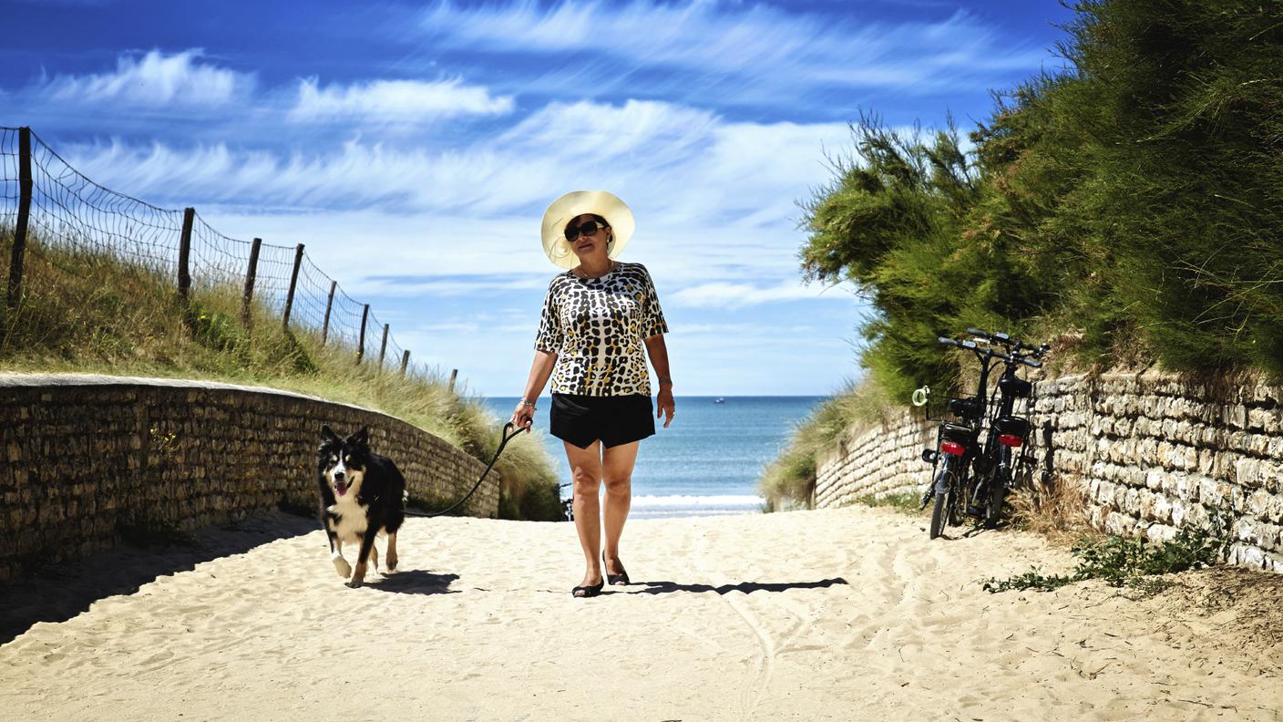 Cane, Camminare, Estate, Guinzaglio, Donna