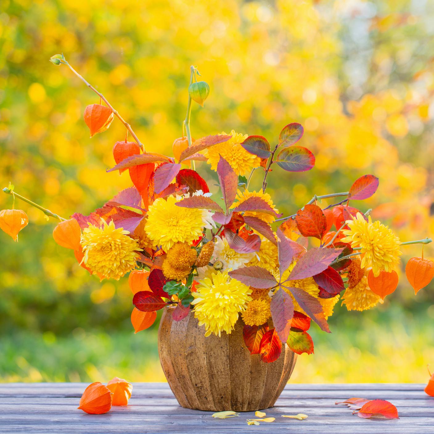 piante autunno