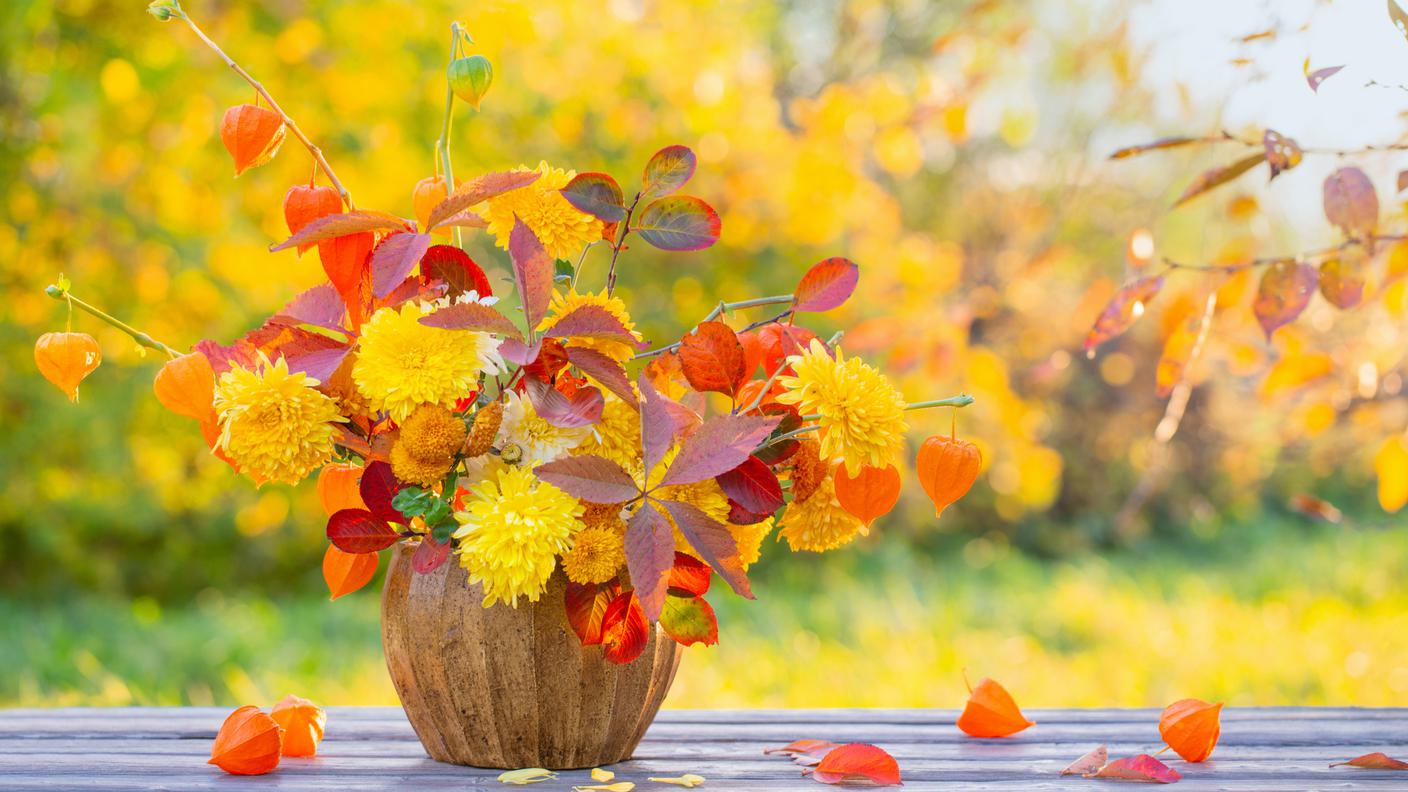 piante autunno