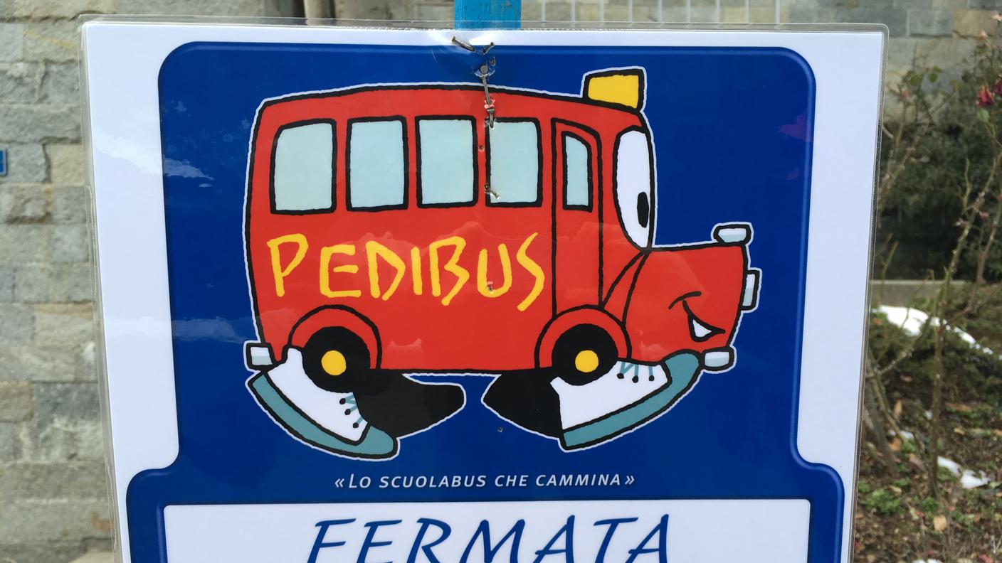 Pedibus