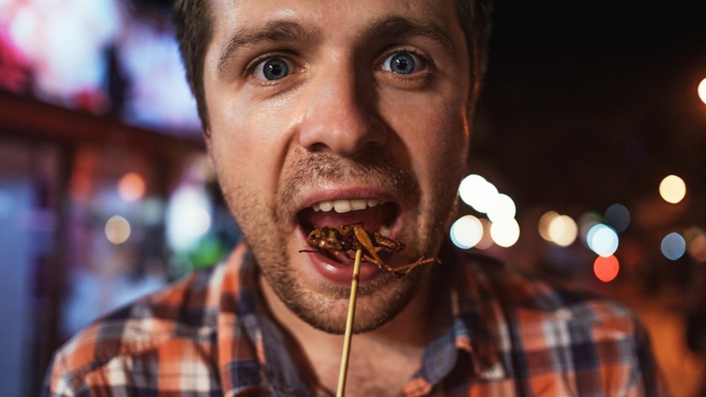 Mangiare insetti