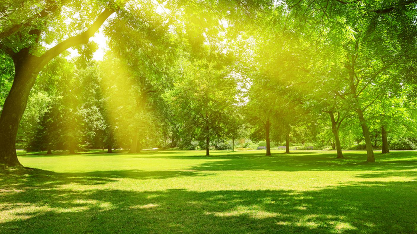 giardino perfetto