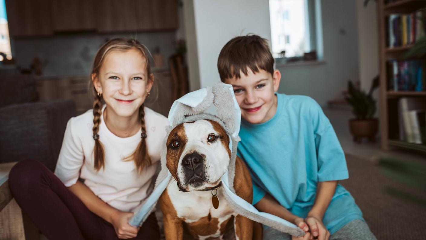 bambini e cani