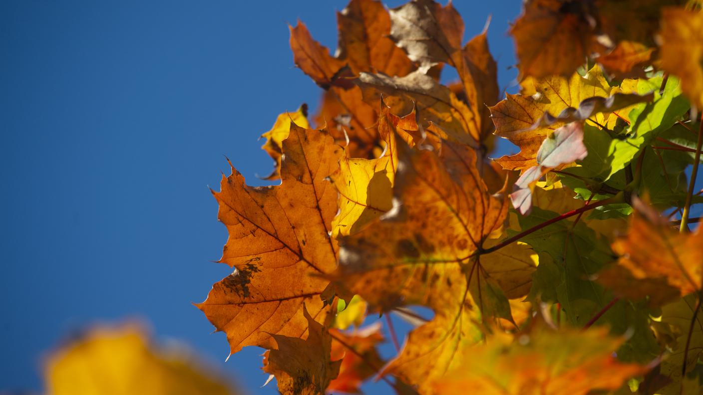 Autunno