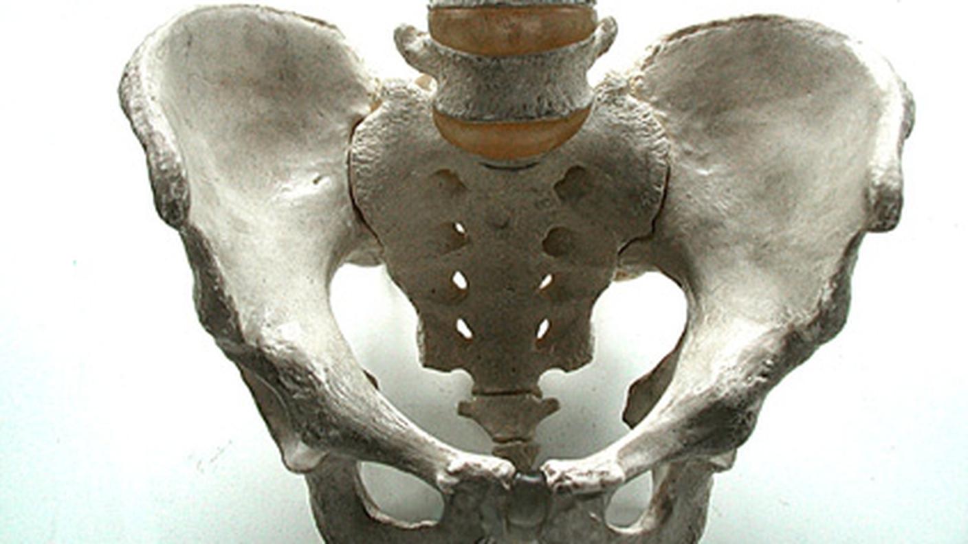 bacino-umano.jpg