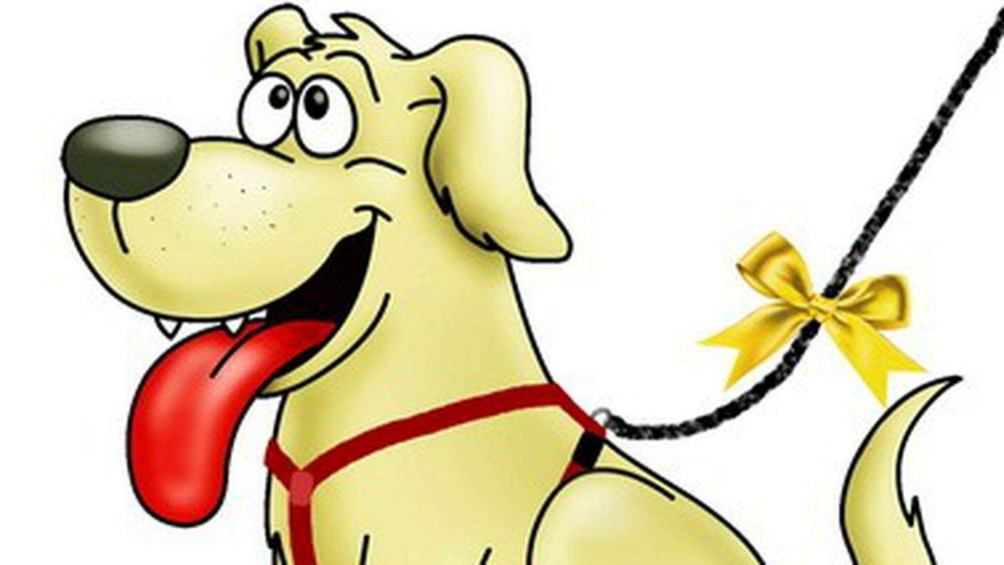 Gulahund Yellowdog