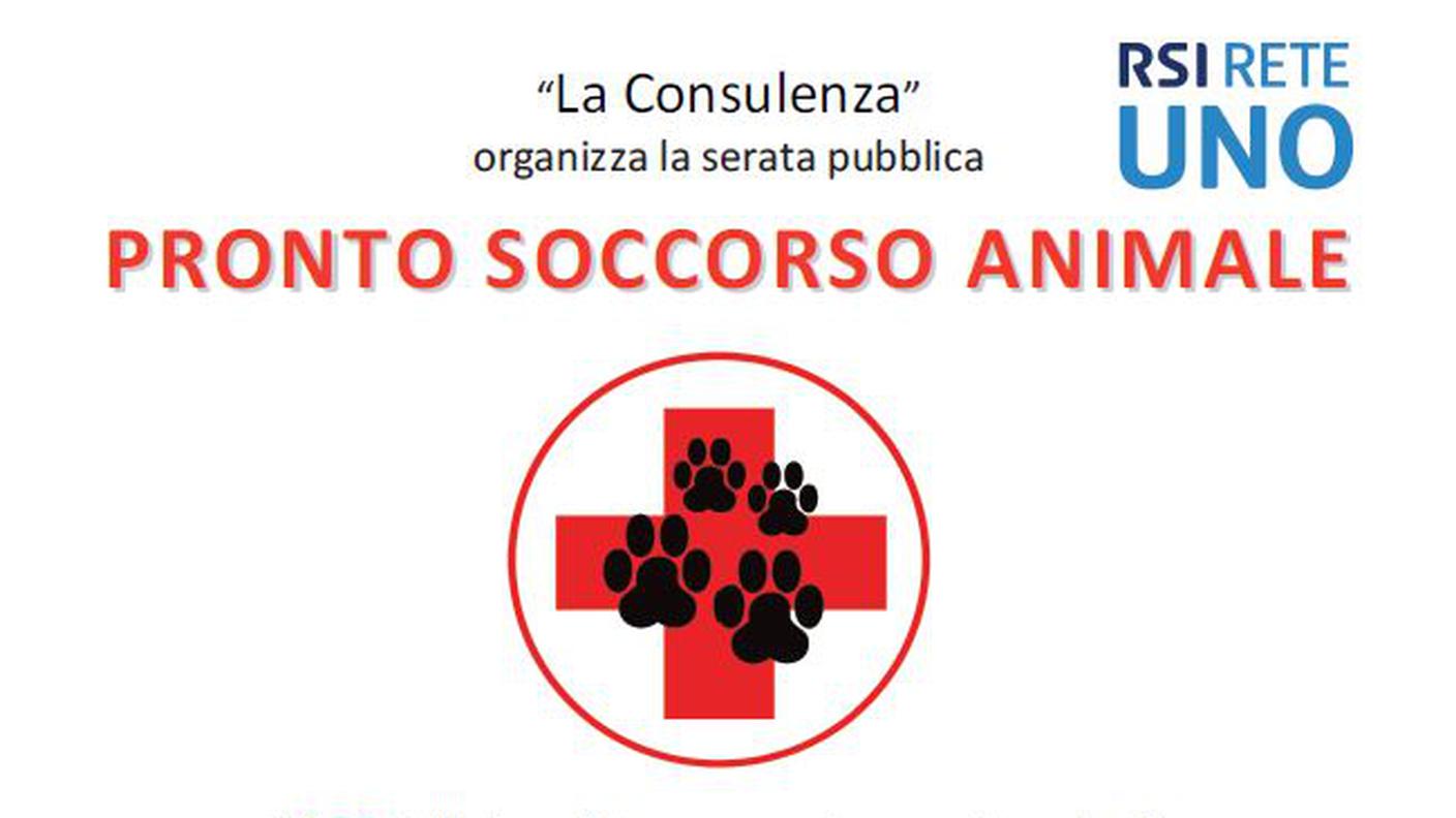 Locandina Pronto soccorso