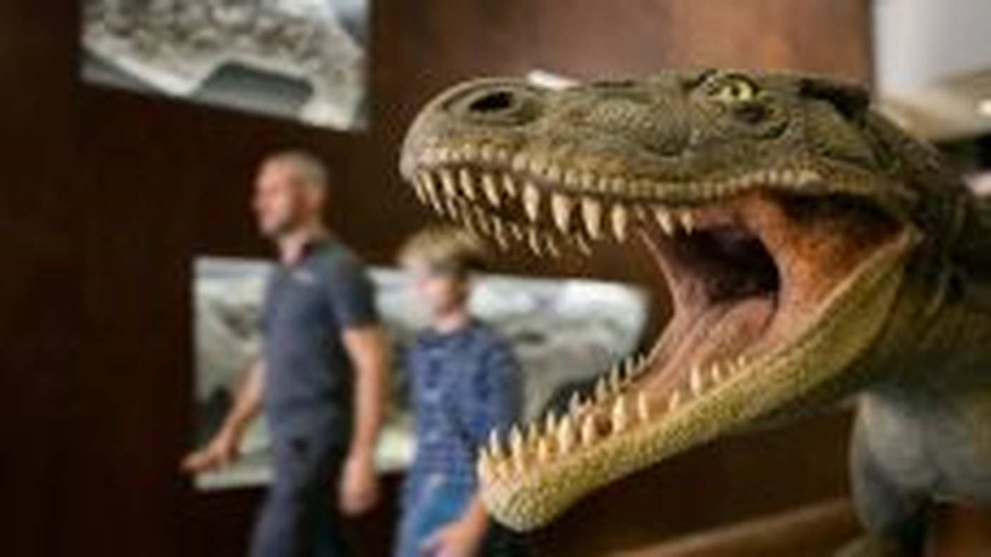 Museo dei Fossili, Meride