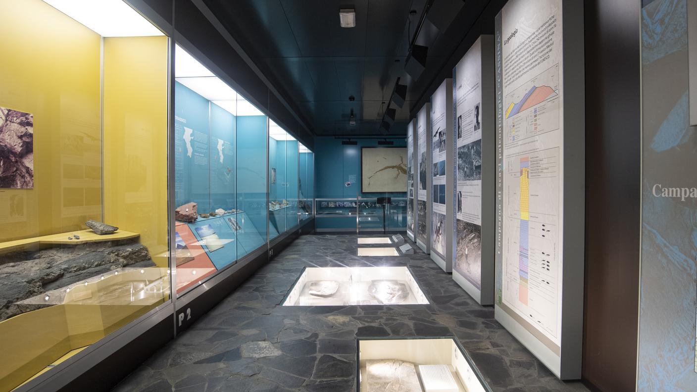 Museo cantonale di storia naturale