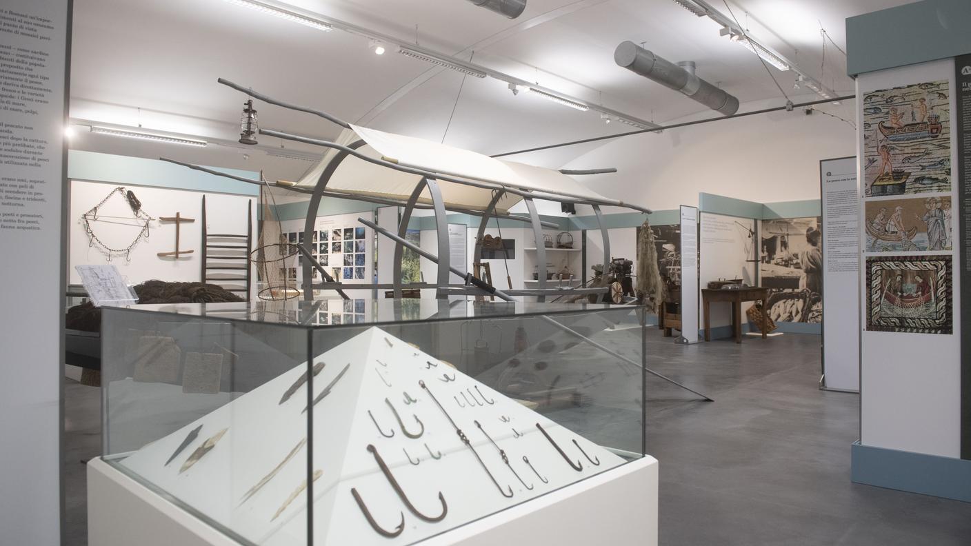 Museo della pesca di Caslano