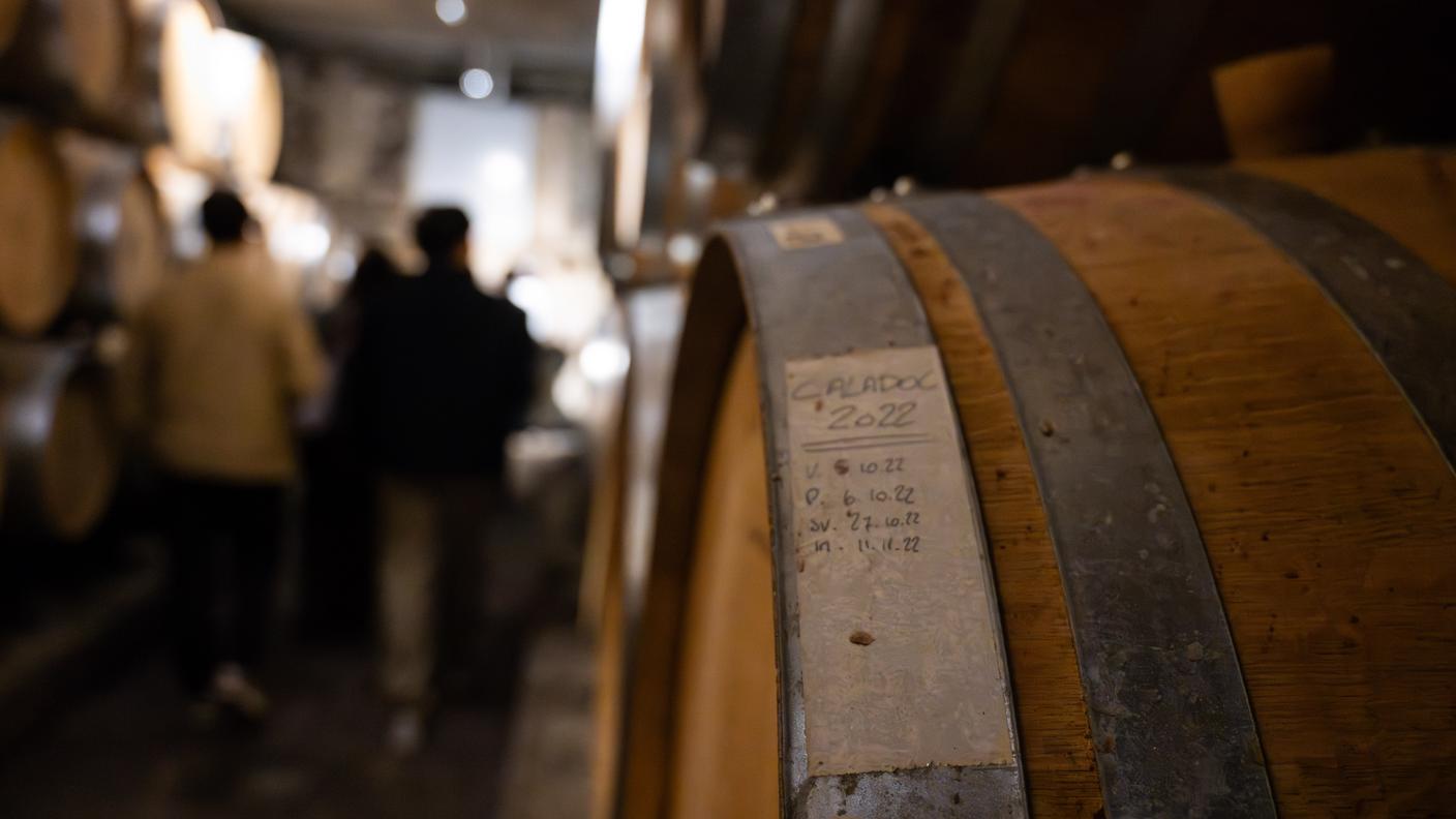 Cantine aperte, botte vino, vino, ticino