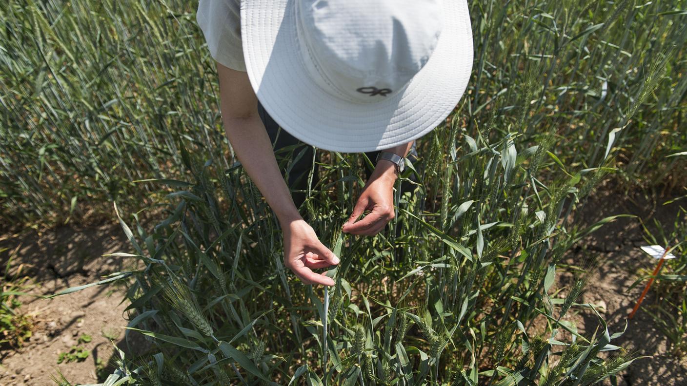 Agroscope