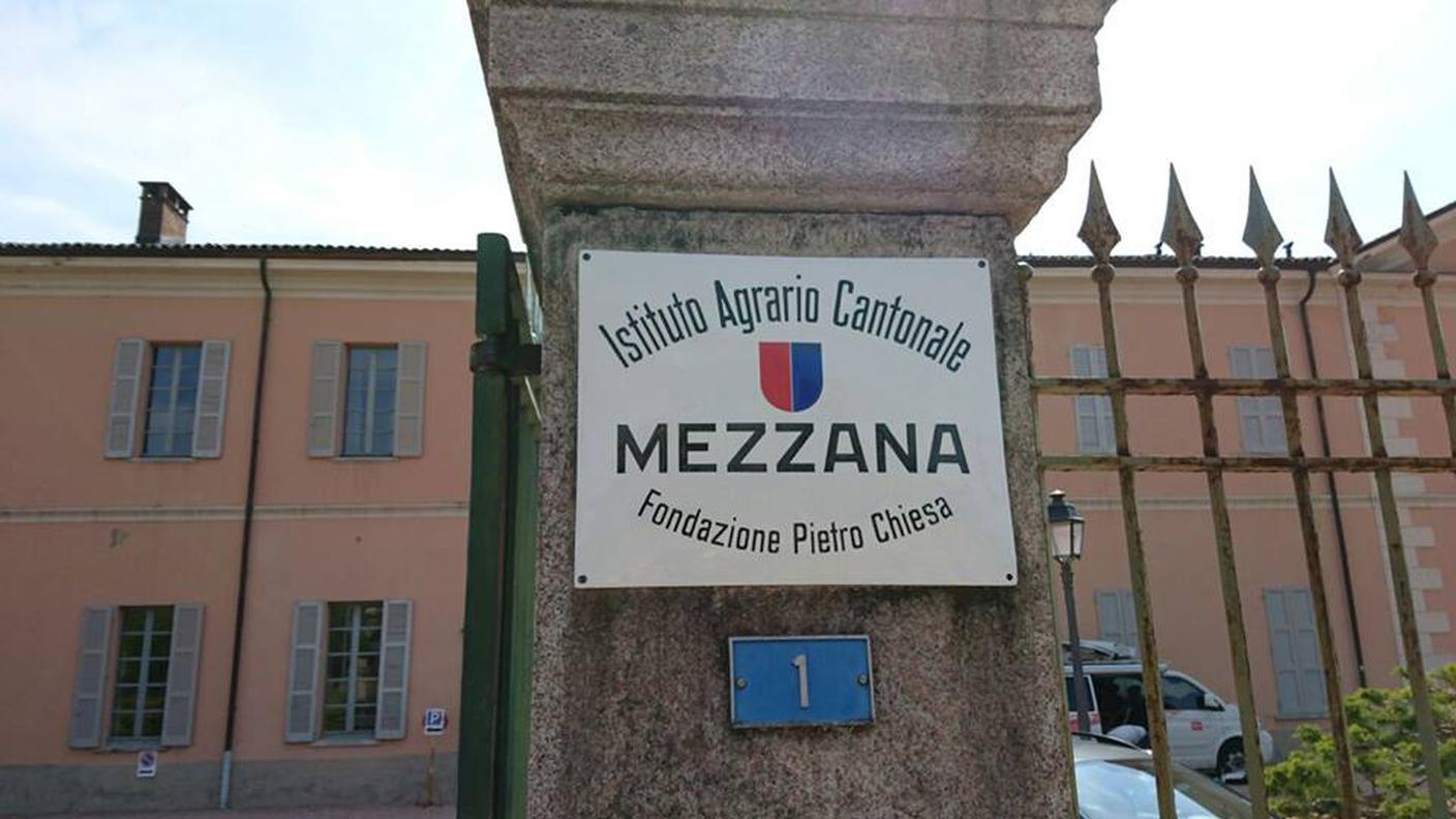 Istituto Agrario Cantonale di Mezzana