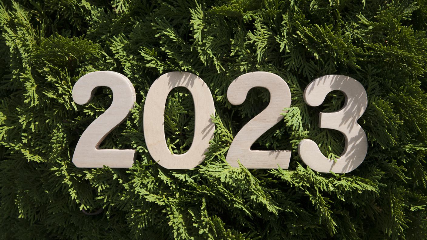 capodanno, verde, abete, 2023
