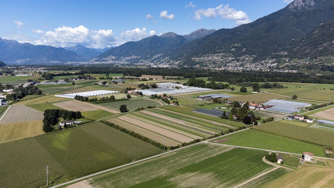 Una vista panoramica del piano di Magadino