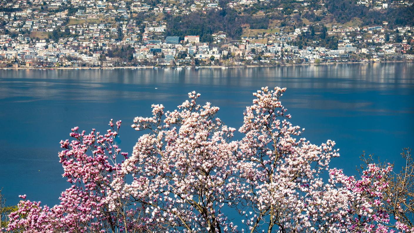 San Nazzaro: Parco Botanico Eisenhut Gambarogno. 