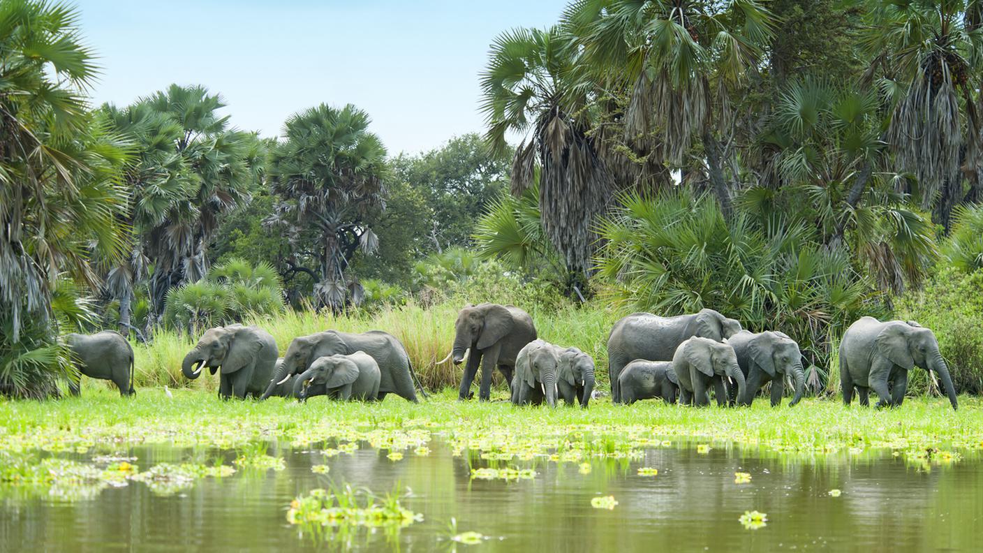 Lago di Manze, presso il Selous Park, Tanzania