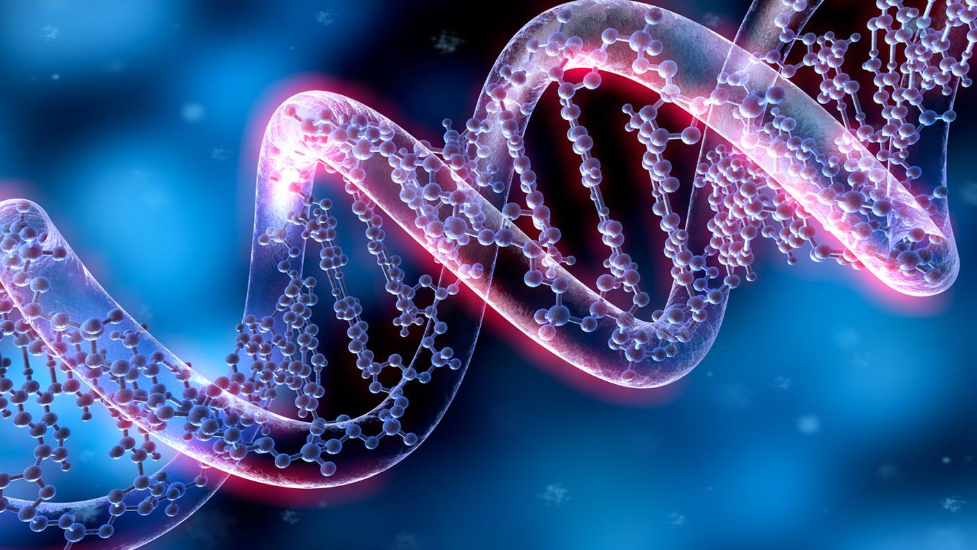DNA, molecola DNA