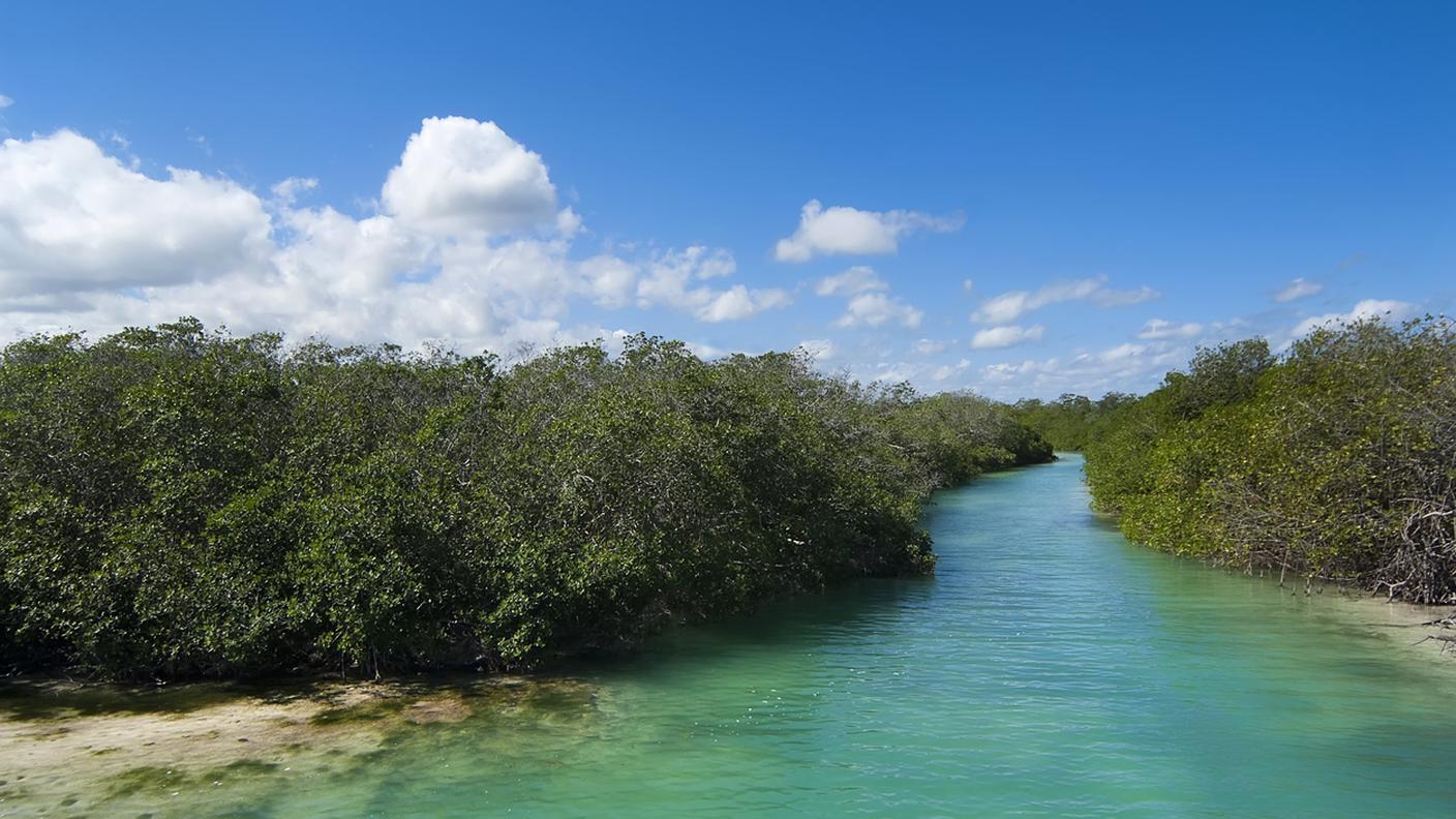 Riserva della biosfera Sian Ka'an in Yucatan, Messico