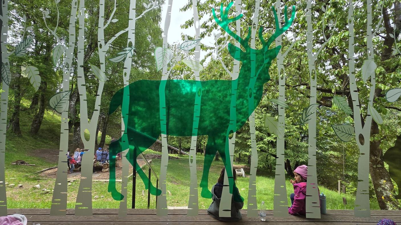 Voci nel bosco: microfoni accesi per la scuola dell’infanzia di Besso