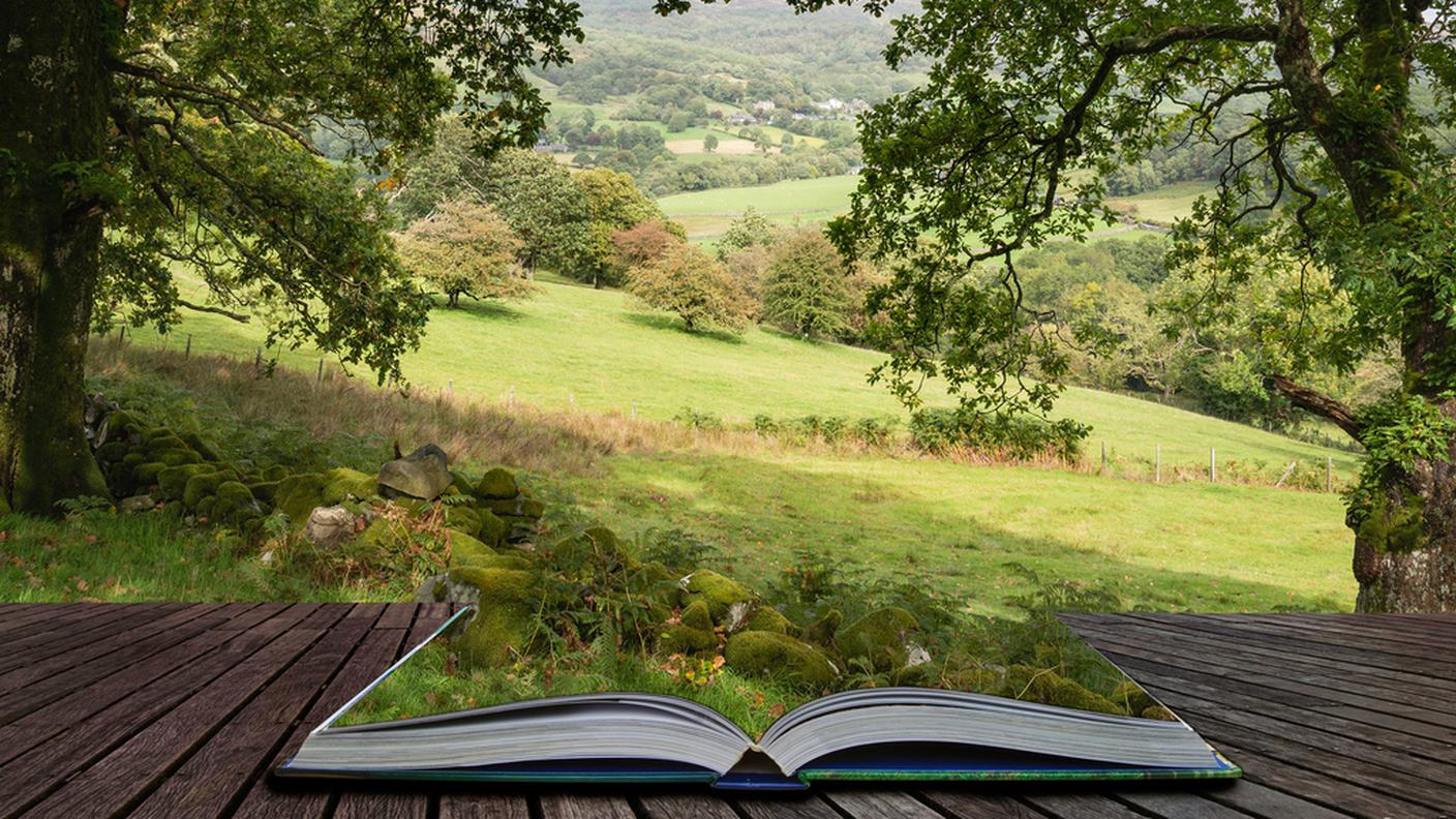 libro aperto natura