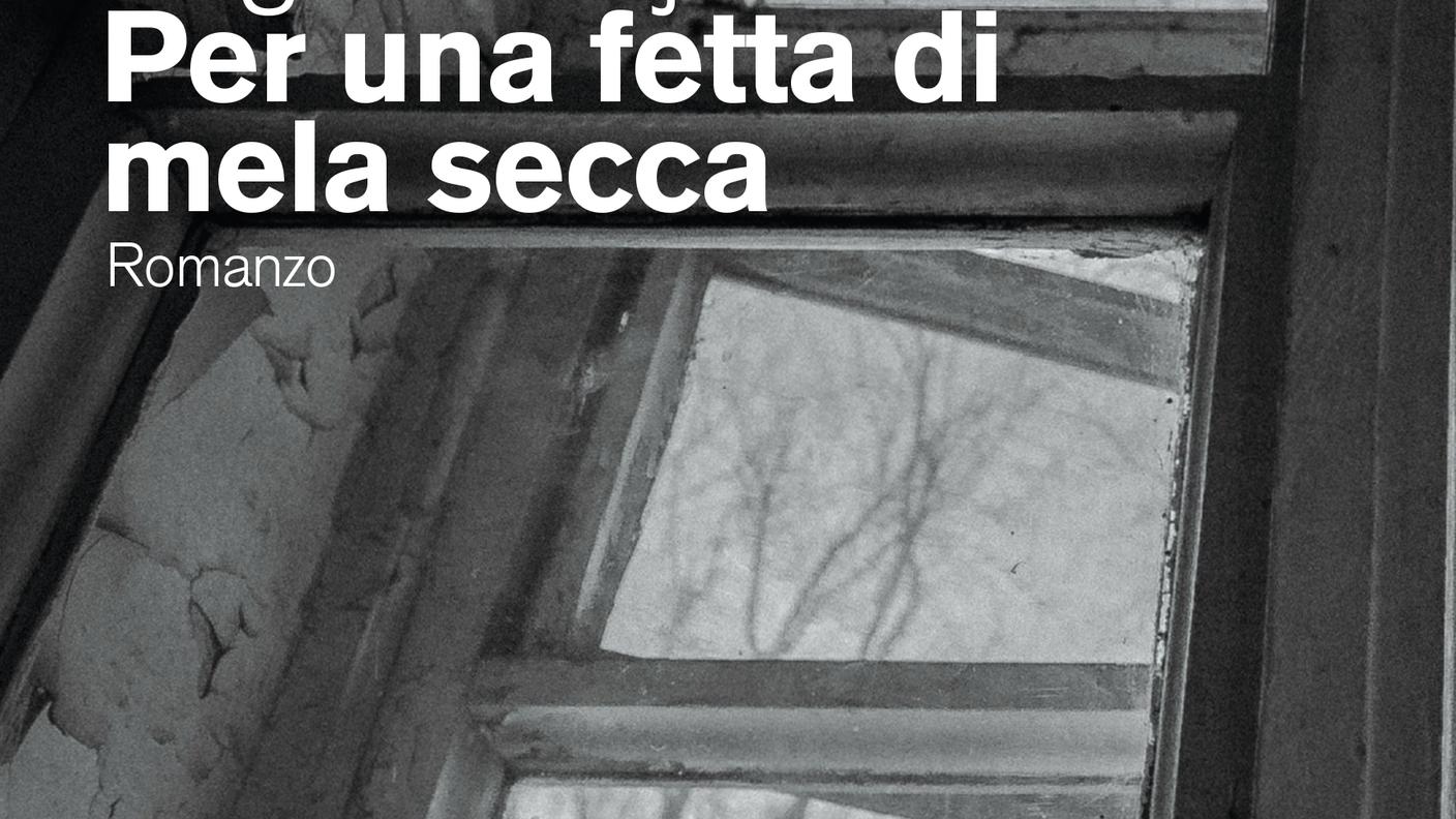 Begoňa Feijoo Fariňa, "Per una fetta di mela secca", Gabriele Capelli editore (dettaglio copertina)
