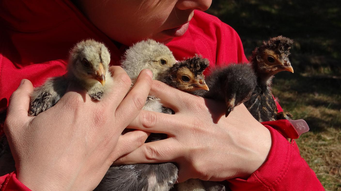 Gallina e Lara Montagna6, Ora della Terra 07.06.15