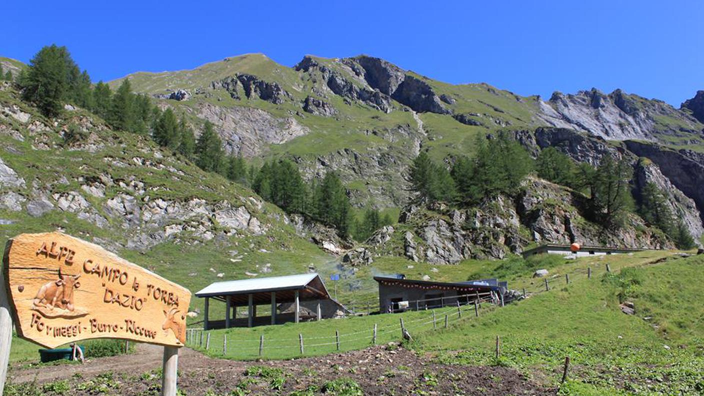 Alpe Campo La Torba 