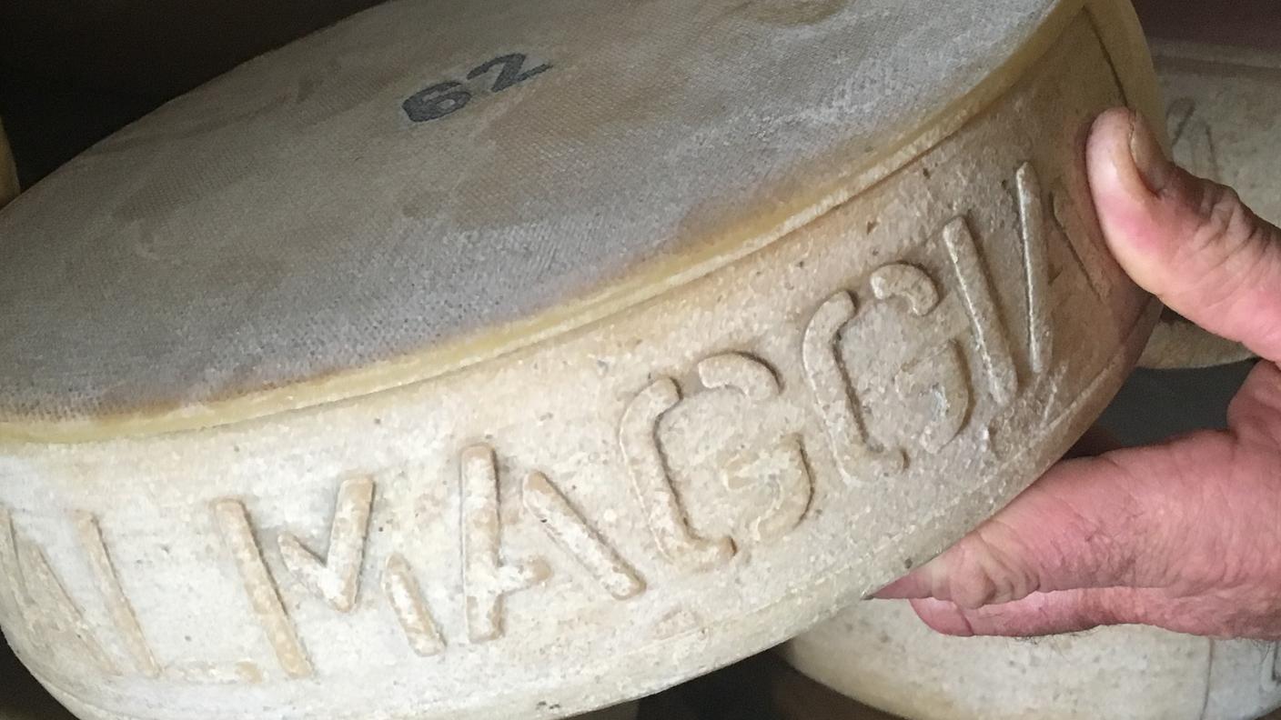 Alpe Campo La Torba, formaggio Al Maggia