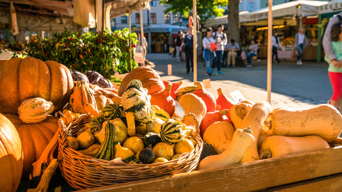 Zucca, zucche, mercato