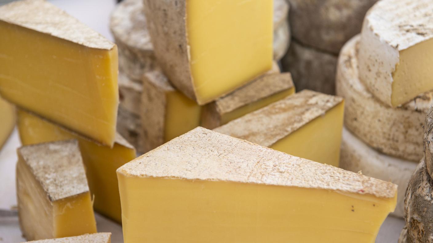 formaggio, forme, locale, Ticino