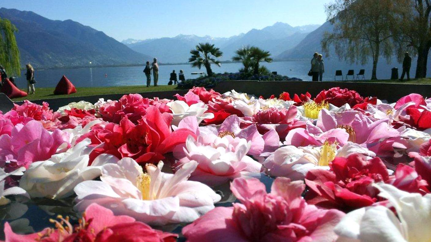 Parco delle camelie, Locarno