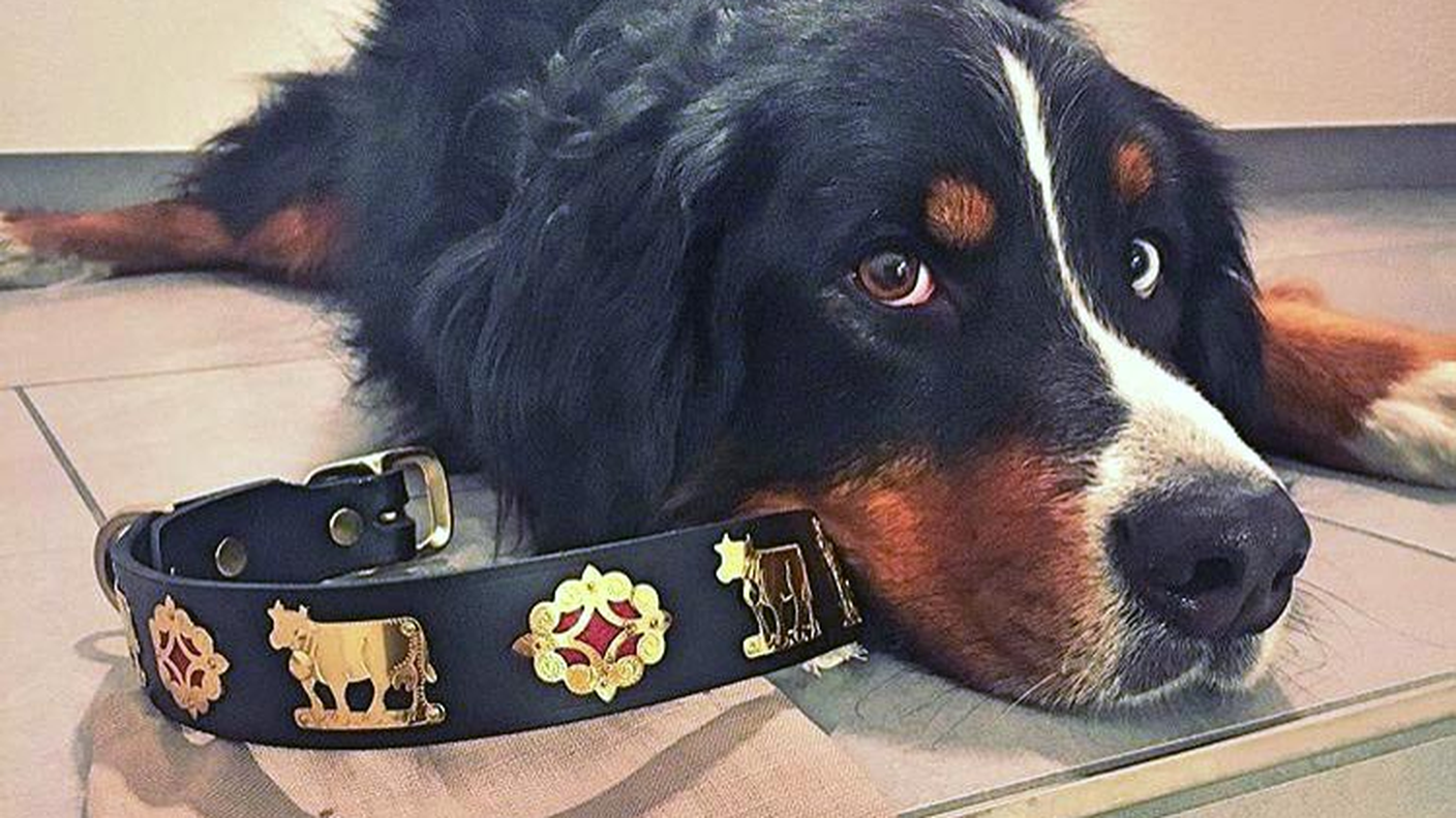 Appenzeller Gurt – Swiss Handmade Belts
